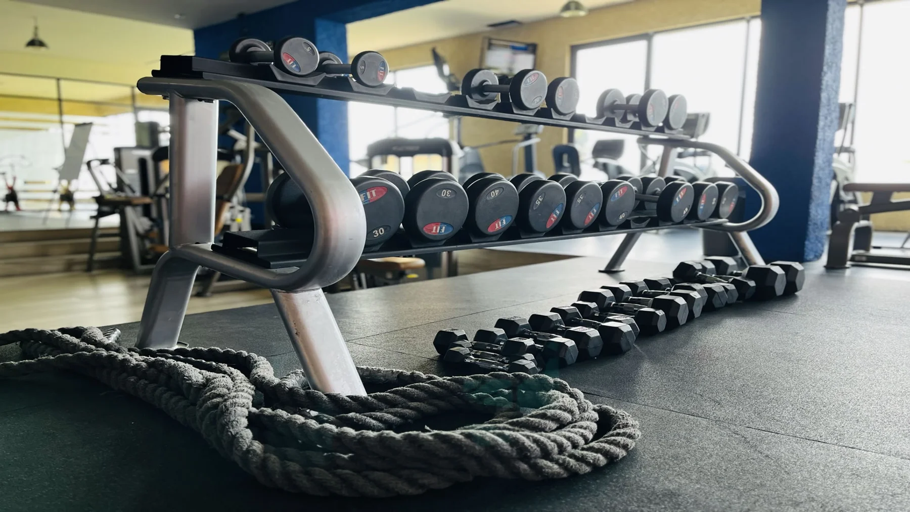 Equipo y pesas del gimnasio del club